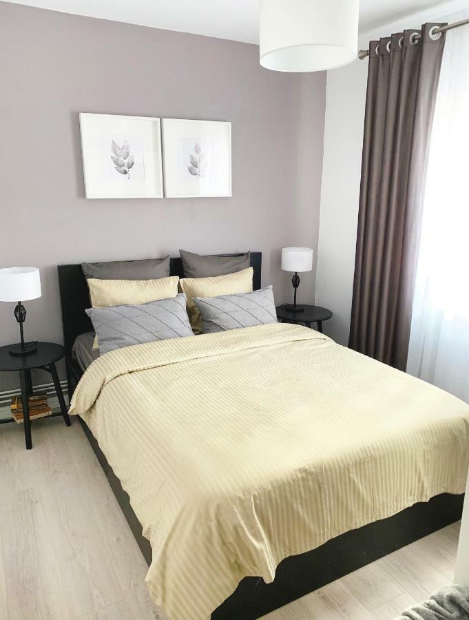 Mhc Quiet Deluxe Suite Near Downtown - Free Parking Braşov Exterior foto